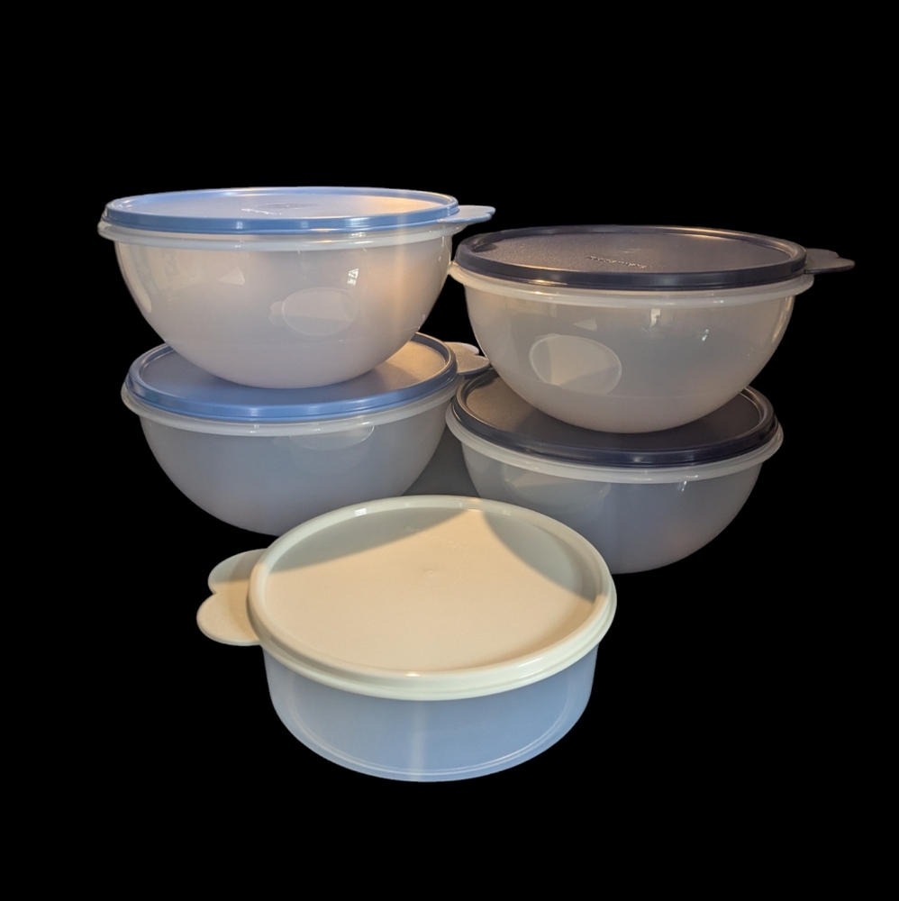 Tupperware Blue and White Bowl Set